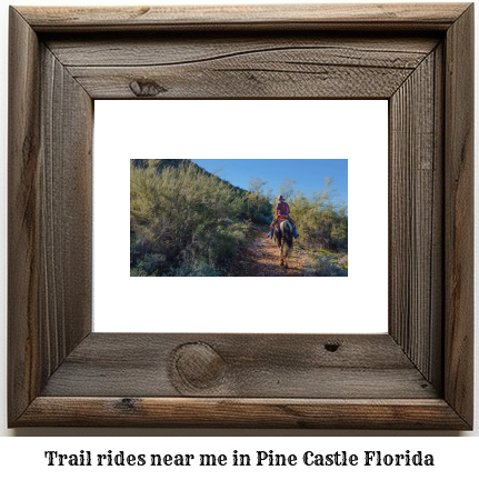 trail rides near me in Pine Castle, Florida